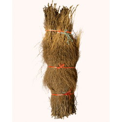 Bambou Broussaille 150/200cm 