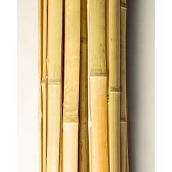 Latte de Bambou Naturel 400cm