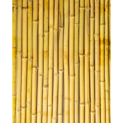 Palissade Bambou Rond 180x180cm