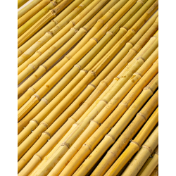 Palissade Bambou Rond 180x180cm
