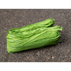 Raphia couleur Menthe