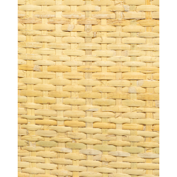 Closed Cane Webbing 5x5mm