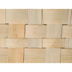 Ravinala Weaving straigth